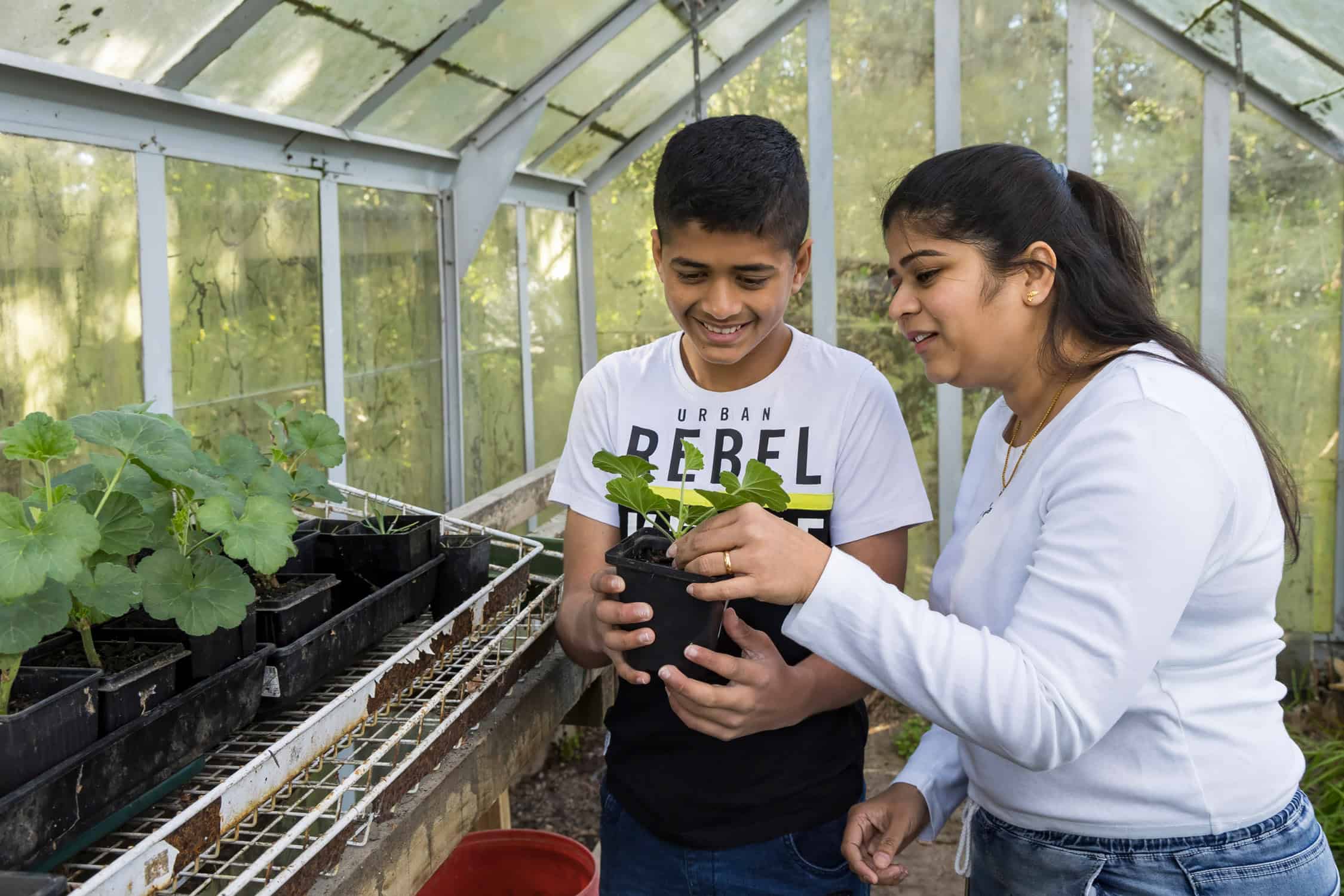 Mother and son share gardening tasks in a glasshouse.