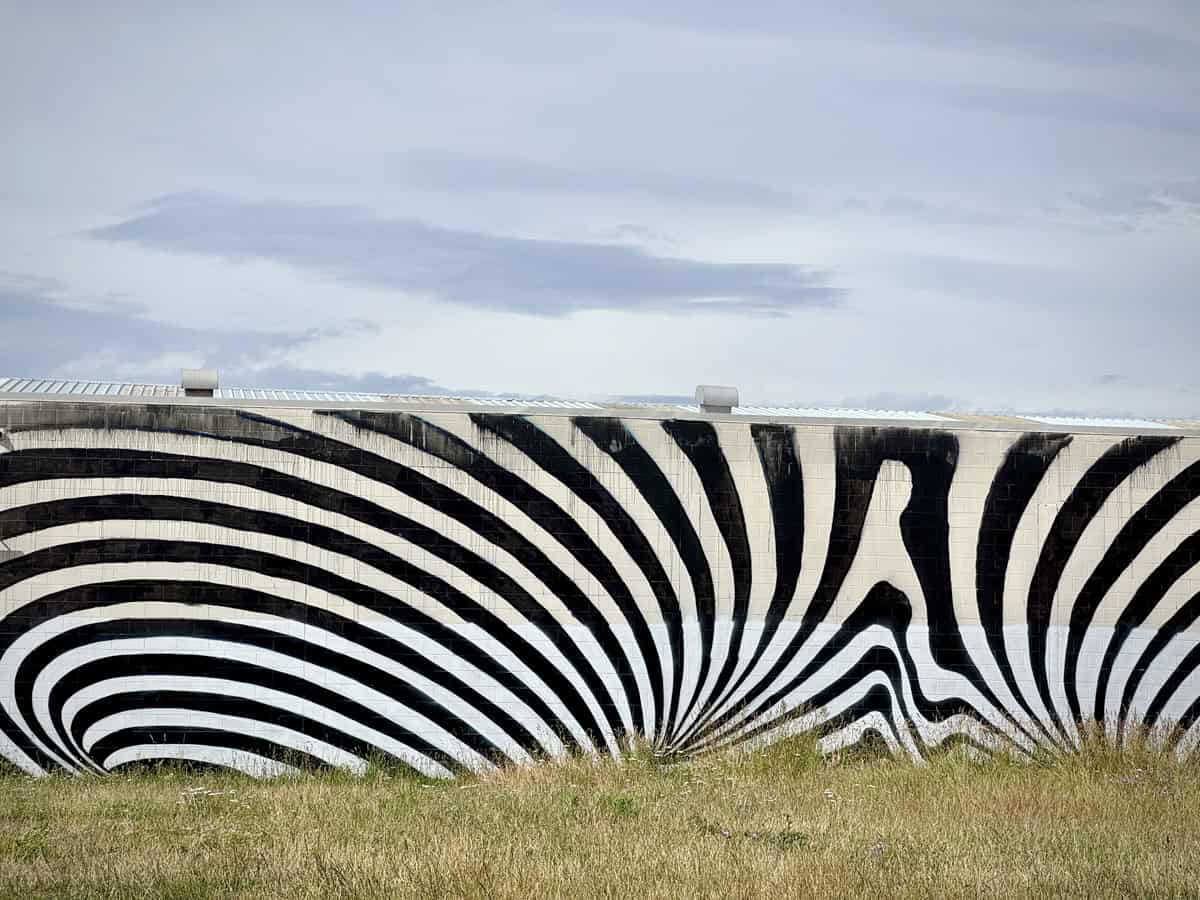 Zebra pattern graffiti in industrial area.